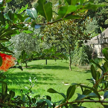 Agri-tourism Le Morghe - Ili02235-cya Rocchetta Nervina